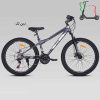 دوچرخه 26TR1000