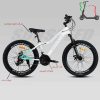 دوچرخه SUNSPEED 24NIKE-DISC-12a