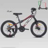 دوچرخه 20TR1000