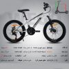 دوچرخه WEGO سایز 20 کد 20166